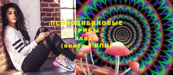 мескалин Богородицк