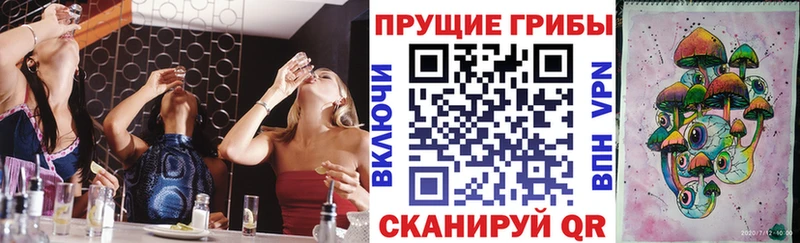 Псилоцибиновые грибы мицелий  Костерёво 